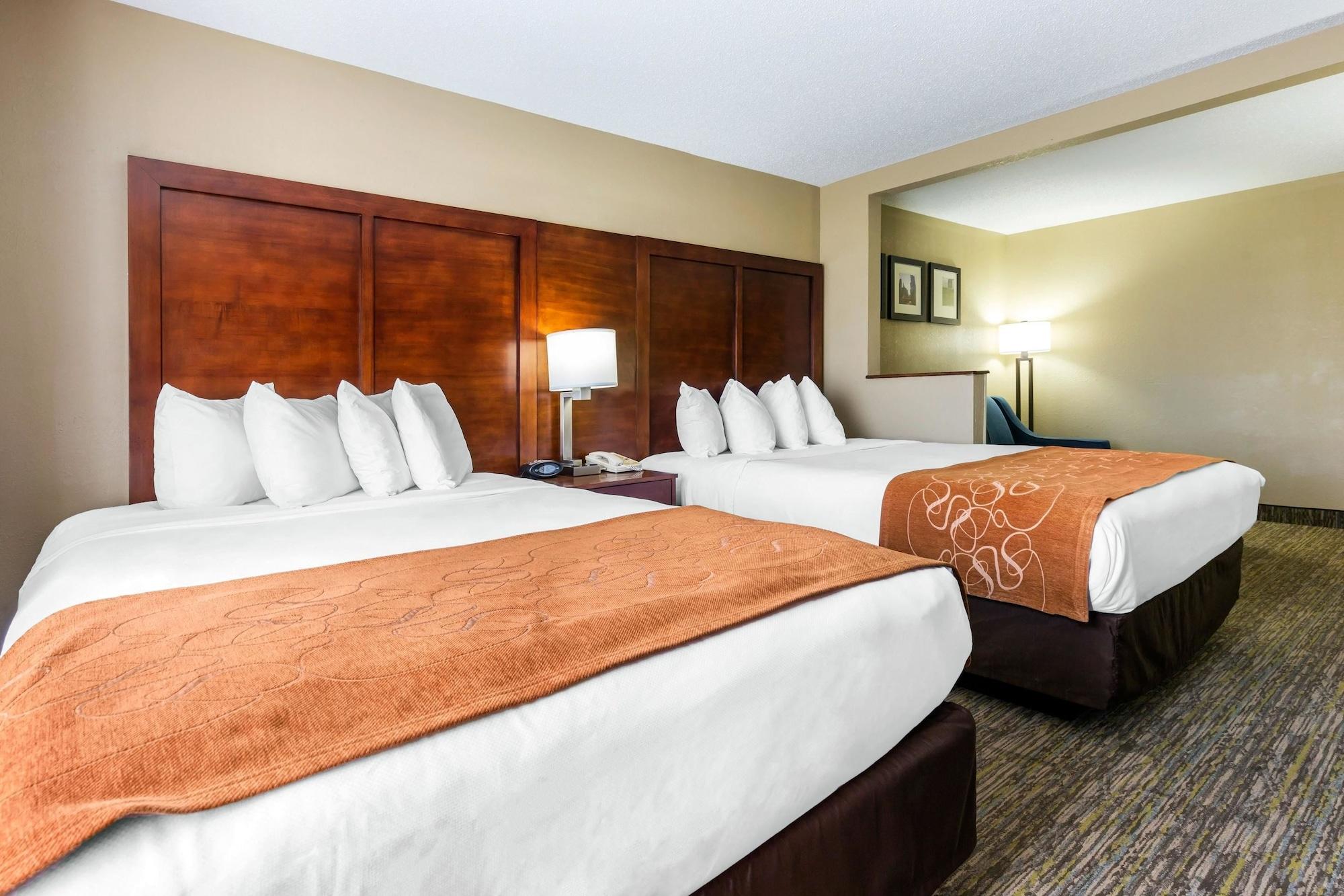 Comfort Suites Near I-80 And I-94 Lansing Eksteriør billede