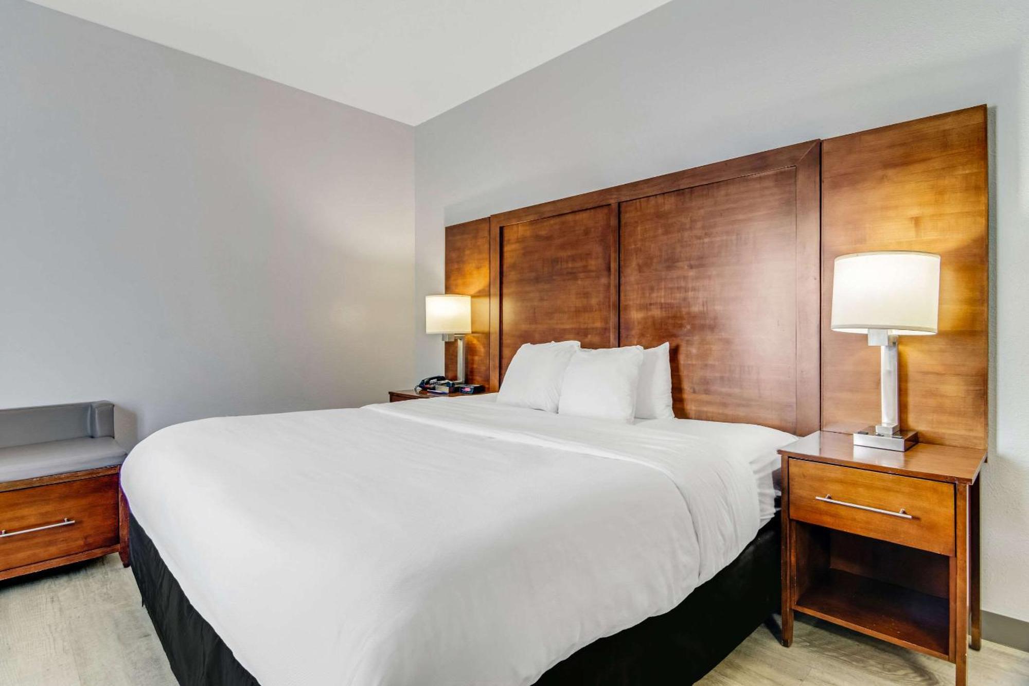 Comfort Suites Near I-80 And I-94 Lansing Eksteriør billede